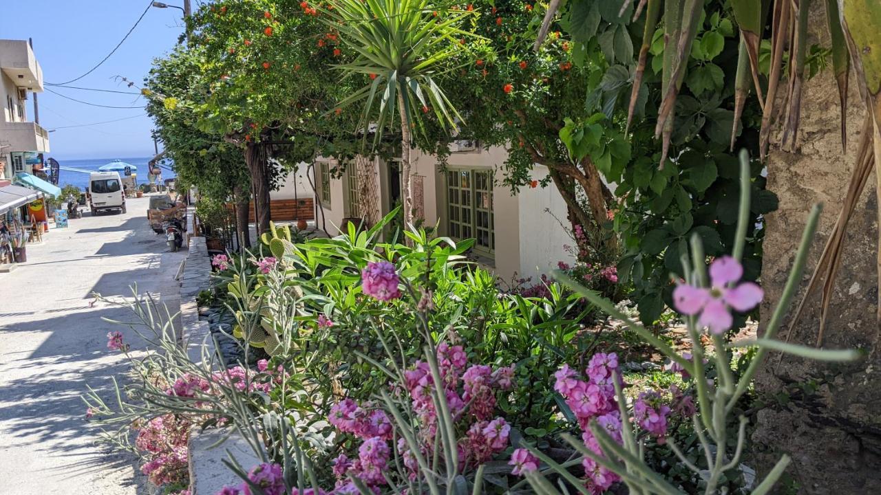 Pension Irene Sougia Eksteriør billede